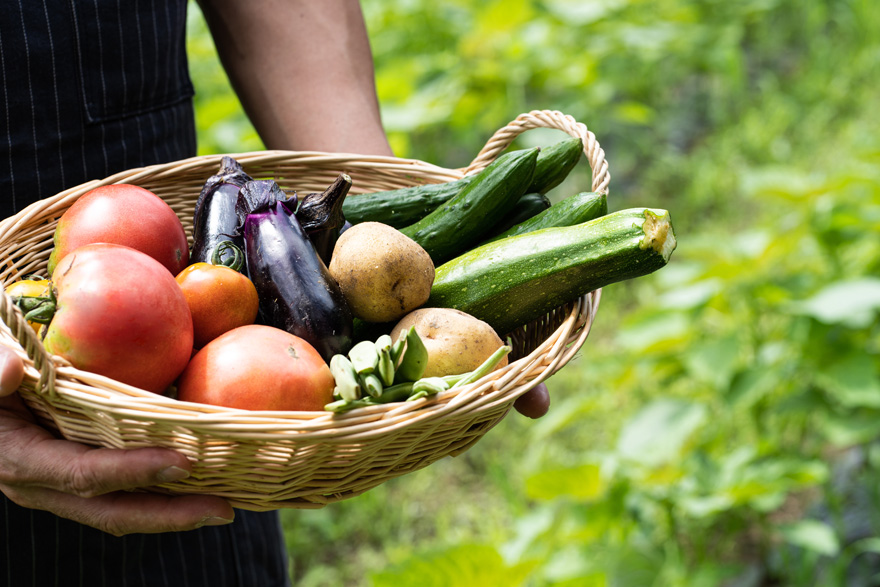地産地消のものを